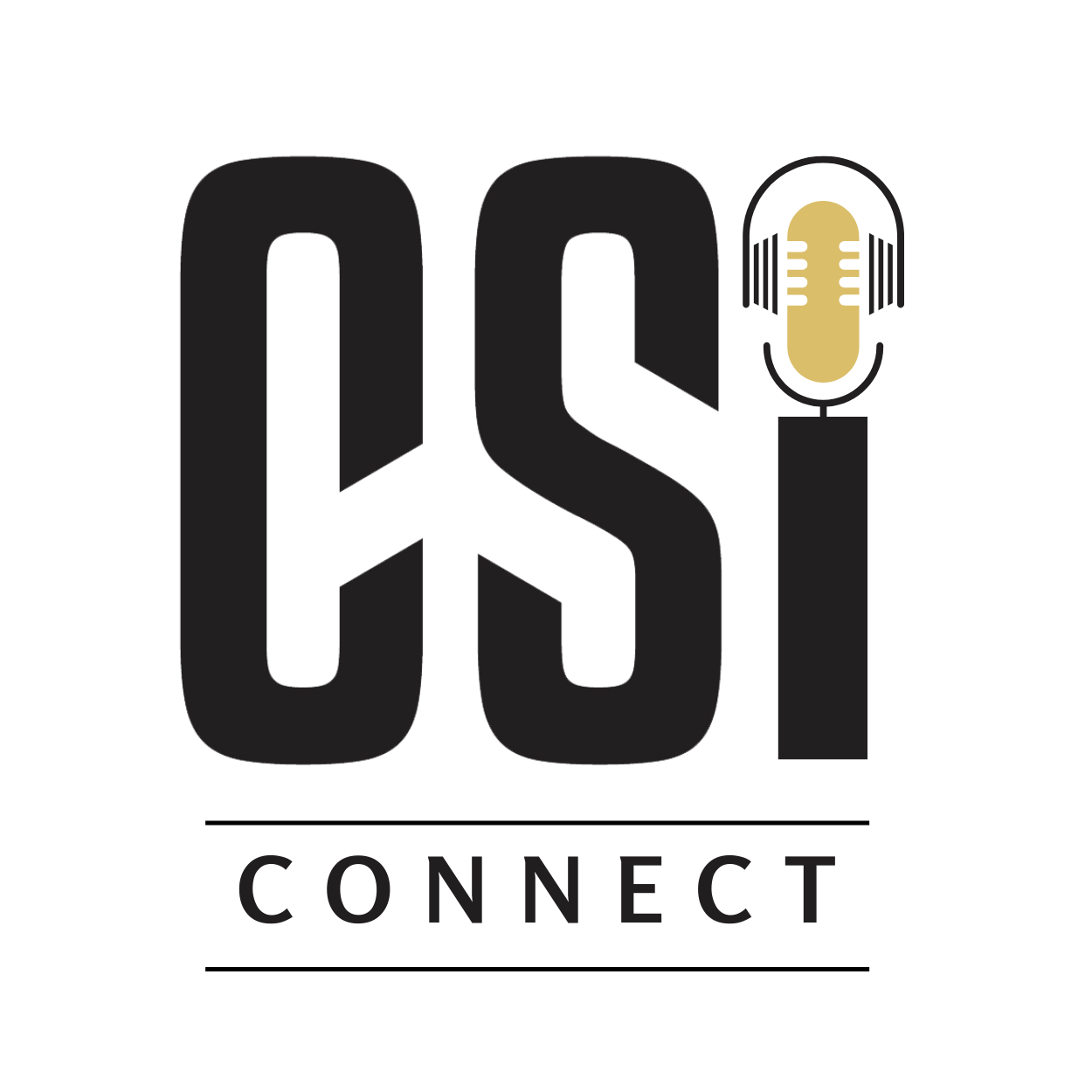 CSI - Consultant